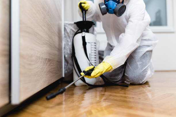 Best Mosquito Control Services  in Pacific, WA