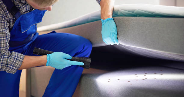 Best Pest Control for Restaurants  in Pacific, WA